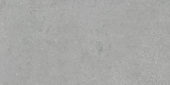 Ashland 24X48 Grey | Tiles By Kia