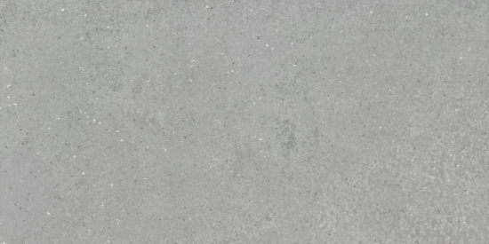 Ashland 24X48 Grey | Tiles By Kia