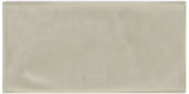 Autumn Tan 3X6 Glossy | Tiles By Kia