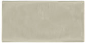 Autumn Tan 3X6 Glossy | Tiles By Kia