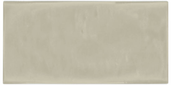 Autumn Tan 3X6 Glossy | Tiles By Kia