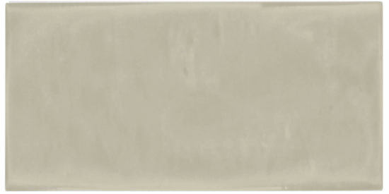 Autumn Tan 3X6 Glossy | Tiles By Kia
