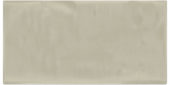 Autumn Tan 3X6 Glossy | Tiles By Kia
