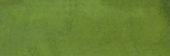 Barcelona 2x6" Olive | Tiles By Kia