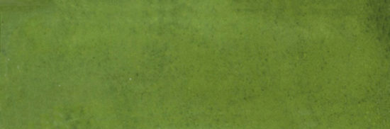 Barcelona 2x6" Olive | Tiles By Kia