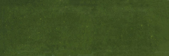 Barcelona 2x6" Olive | Tiles By Kia