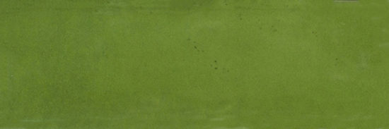 Barcelona 2x6" Olive | Tiles By Kia