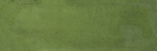 Barcelona 2x6" Olive | Tiles By Kia