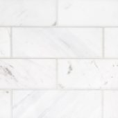 Camellia Field Tile 3” x 9” | Tiles By Kia