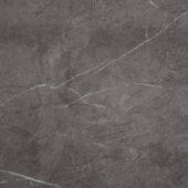 Carpantian Matte Wall Panel 48x120 | Tiles By Kia