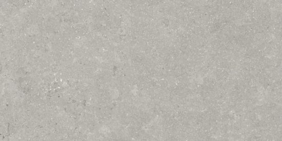 Denver 12X24F Graphite Matte | Tiles By Kia