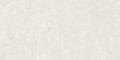 Denver 12X24F Pearl Matte | Tiles By Kia