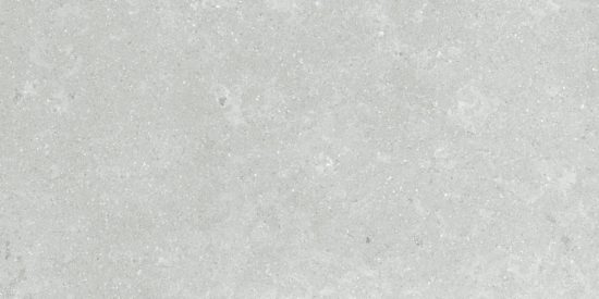 Denver 12X24F Platinum Matte | Tiles By Kia