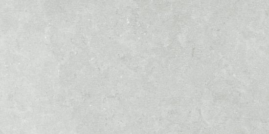 Denver 12X24F Platinum Matte | Tiles By Kia