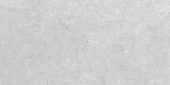 Denver 12X24F Platinum Matte | Tiles By Kia