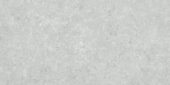 Denver 12X24F Platinum Matte | Tiles By Kia