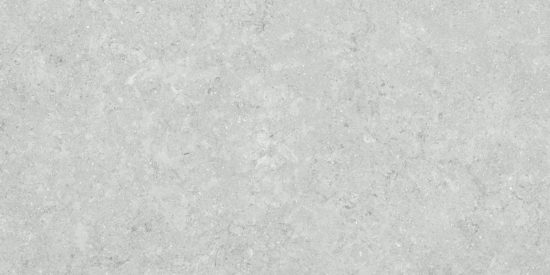 Denver 12X24F Platinum Matte | Tiles By Kia
