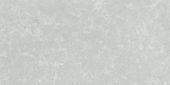 Denver 12X24F Platinum Matte | Tiles By Kia