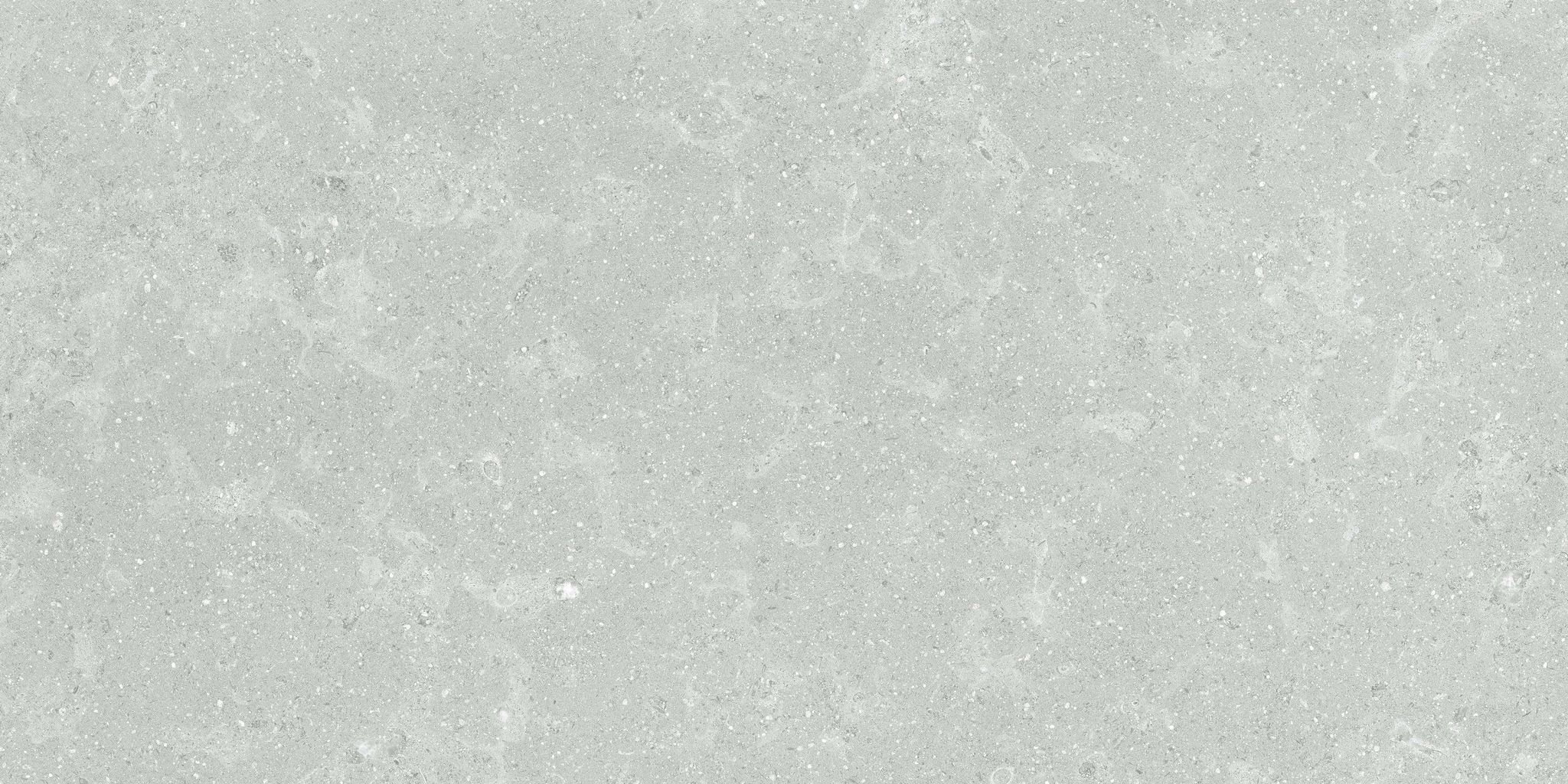Denver 12X24F Platinum Matte