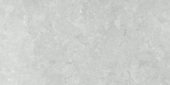 Denver 12X24F Platinum Matte | Tiles By Kia