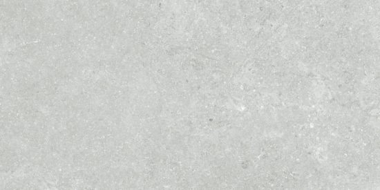 Denver 12X24F Platinum Matte | Tiles By Kia