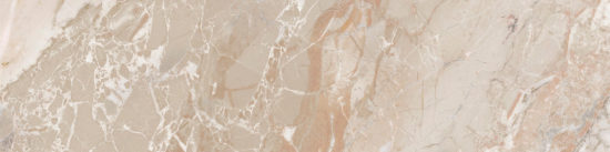 Dynasty Almond 3X12 Bullnose | Tiles By Kia
