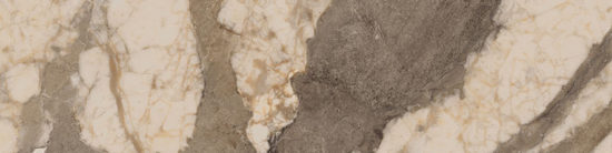 Dynasty Taupe 3X12 Bullnose | Tiles By Kia