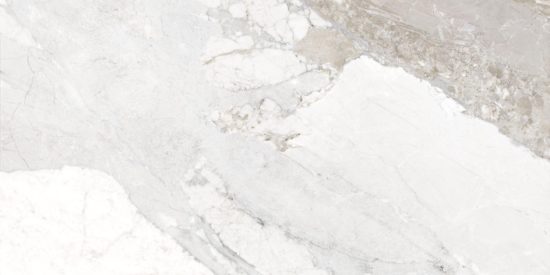 Dynasty White Polished/Matte 24X48 | Tiles By Kia