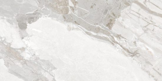 Dynasty White Polished/Matte 24X48 | Tiles By Kia