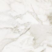 Florence 13X13F Calacatta Matte | Tiles By Kia
