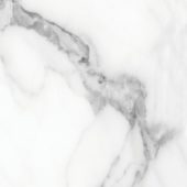 Florence 13X13F Statuario Matte | Tiles By Kia