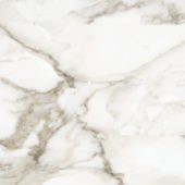 Florence 20X20F Calacatta Matte | Tiles By Kia