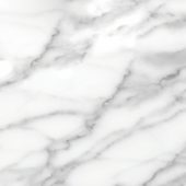 Florence 20X20F Statuario Matte | Tiles By Kia