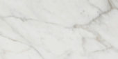 Golden Calacatta Matte 12X24 | Tiles By Kia