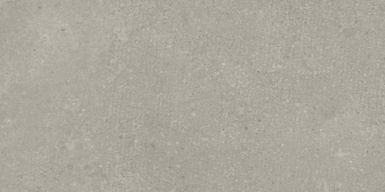 Madison 12X24F Forge Matte | Tiles By Kia
