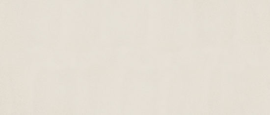 Marmiline Ivory 12x28 Niche | Tiles By Kia