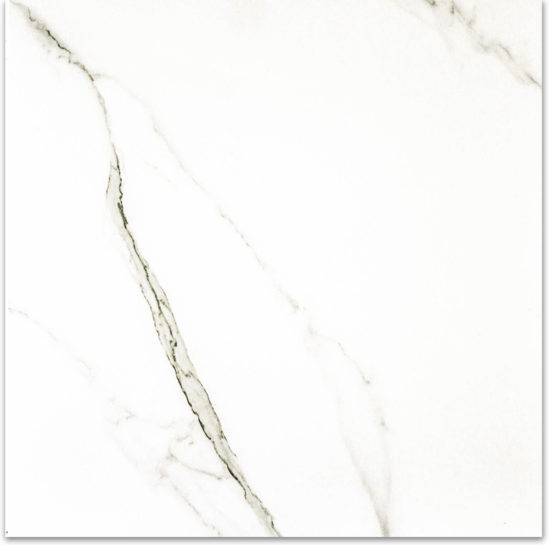 Matte Adoration 24X24 | Tiles By Kia