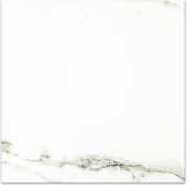Matte Adoration 24X24 | Tiles By Kia