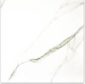 Matte Adoration 24X24 | Tiles By Kia
