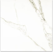 Matte Adoration 24X24 | Tiles By Kia