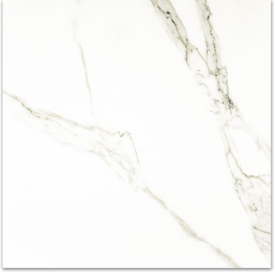 Matte Adoration 24X24 | Tiles By Kia