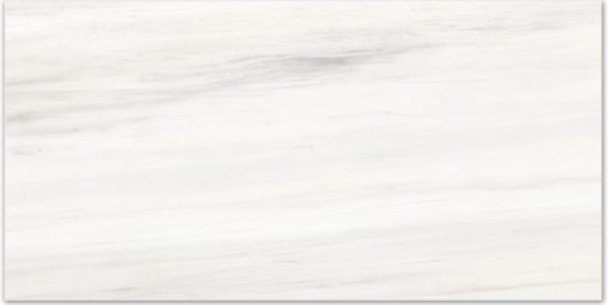 Matte Devotion 16X32 | Tiles By Kia