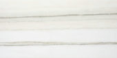 Matte Enchantment 12X24 | Tiles By Kia