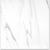 Matte Infatuation 24X24 | Tiles By Kia