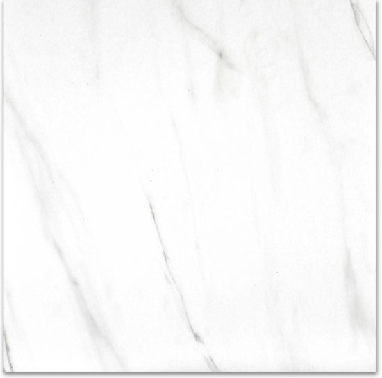 Matte Infatuation 24X24 | Tiles By Kia