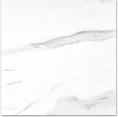 Matte Infatuation 24X24 | Tiles By Kia