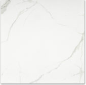 Matte Love 24X24 | Tiles By Kia