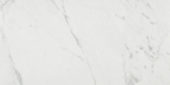 Milano Statuario Honed 12X24 | Tiles By Kia
