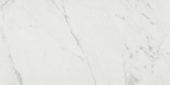 Milano Statuario Honed 24X48 | Tiles By Kia