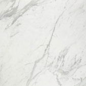 Milano Statuario Honed 32X32 | Tiles By Kia